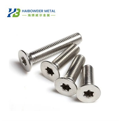 Titaanist Torx poldid